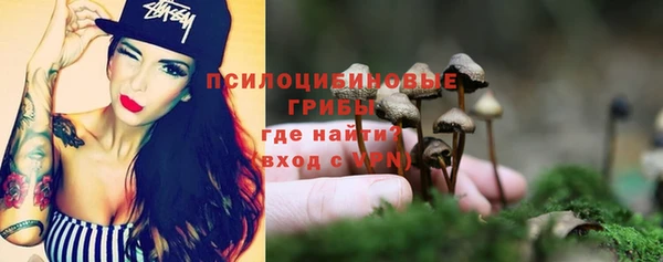 мет Кинешма
