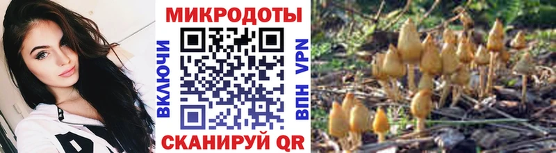 Псилоцибиновые грибы GOLDEN TEACHER  Купить  Саров 